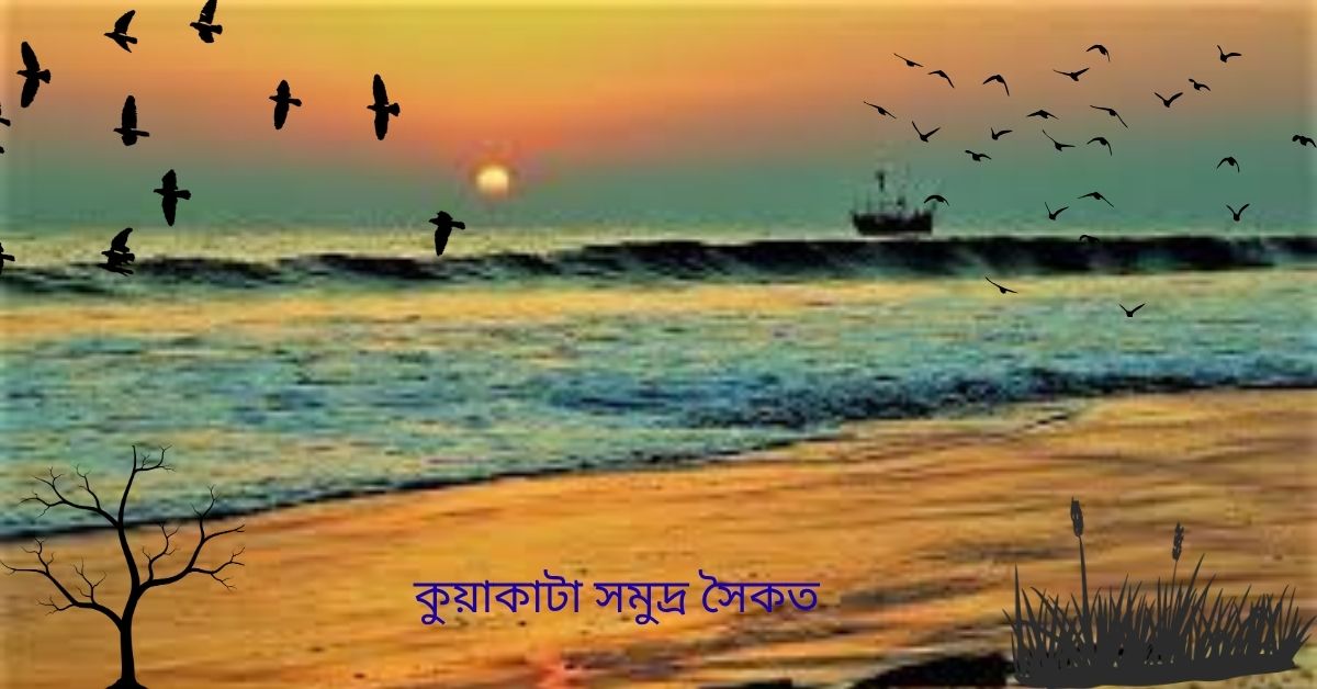 সি-বিচ