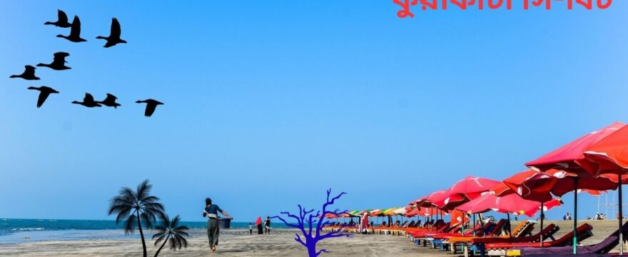 কুয়াকাটা সম্পর্কে বিস্তারিত তথ্যাবলী (Detailed information about Kuakata)